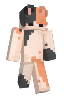 C_var28 Minecraft avatar full body