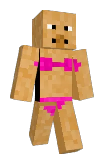 Cachondin69 Minecraft avatar full body