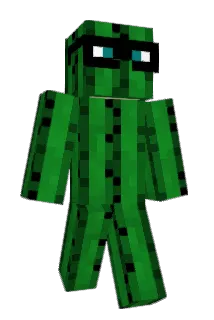 CactiMeg Minecraft avatar full body