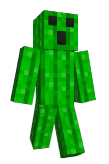Cactuar200 Minecraft avatar full body