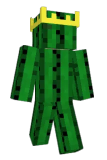 Cactus_II Minecraft avatar full body