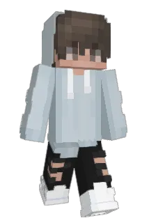 Cactusje Minecraft avatar full body