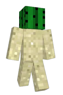 Caelixian Minecraft avatar full body