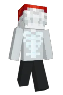 Cal67_ Minecraft avatar full body