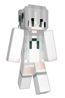 Calico233_ Minecraft avatar full body