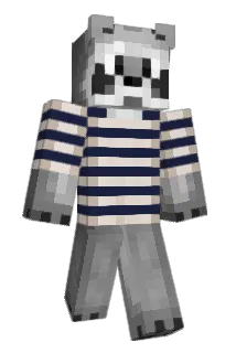 CallMeRaccoon Minecraft avatar full body