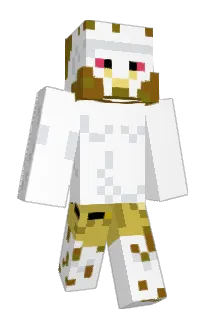 Cals_Zone Minecraft avatar full body