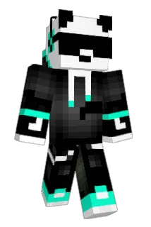 Camh8 Minecraft avatar full body