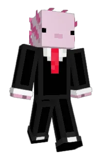 Camilardon Minecraft avatar full body