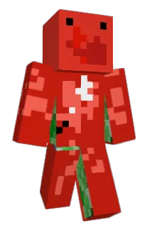 Cammmmmm Minecraft avatar full body