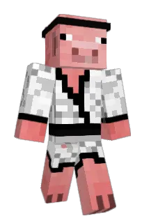 Camper Minecraft avatar full body