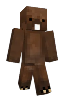 Camster53 Minecraft avatar full body