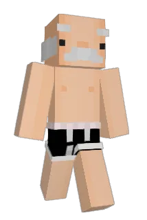 Canguru Minecraft avatar full body