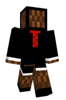 Canudu Minecraft avatar full body