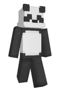 Caranet Minecraft avatar full body