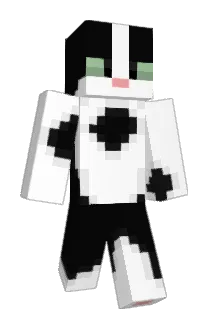 CarderCat Minecraft avatar full body