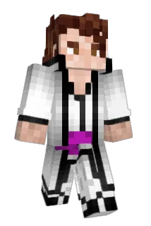CareerCastle317 Minecraft avatar full body