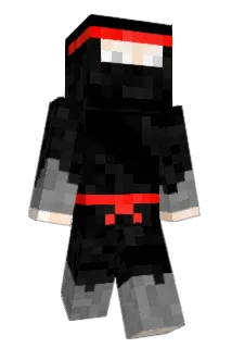 Carl1toz Minecraft avatar full body