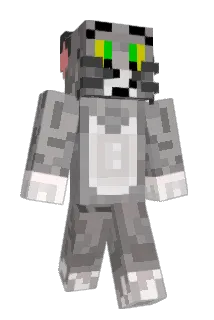 Carlieree Minecraft avatar full body