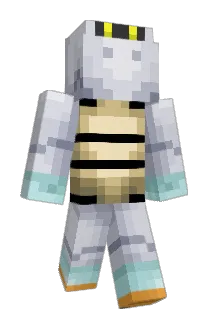 Caron0211 Minecraft avatar full body