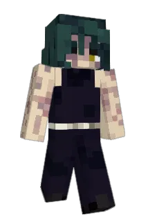 Carter1410 Minecraft avatar full body