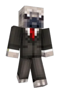 Cartergames614 Minecraft avatar full body