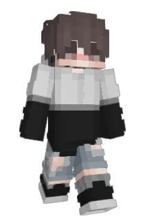 Carton206 Minecraft avatar full body
