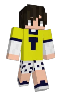 Casarinn Minecraft avatar full body