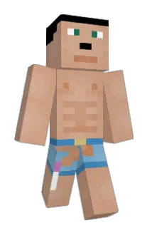 Casavea Minecraft avatar full body