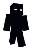 Case35 Minecraft avatar full body