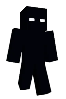 Case35 Minecraft avatar full body