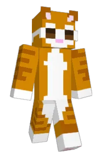 Casei Minecraft avatar full body