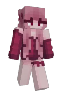 Casidor Minecraft avatar full body