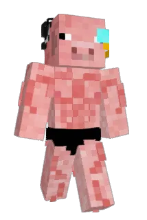 Casjuh Minecraft avatar full body