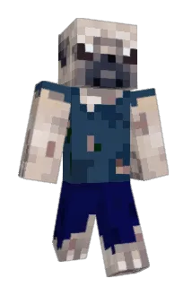 Castloki Minecraft avatar full body
