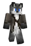 Castyell Minecraft avatar full body