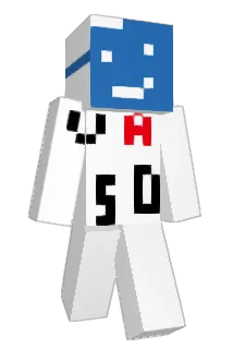 CatArchitect Minecraft avatar full body