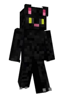 CatEnjoyer Minecraft avatar full body
