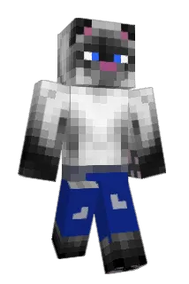 Cat_Commander Minecraft avatar full body