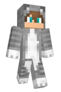 Cat_in_Box_01 Minecraft avatar full body