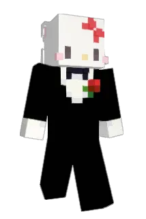 Catcoki Minecraft avatar full body