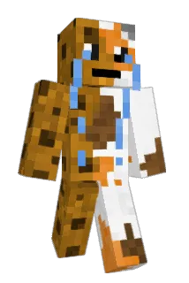 Catcoookie Minecraft avatar full body