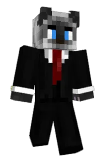 Catguy44 Minecraft avatar full body