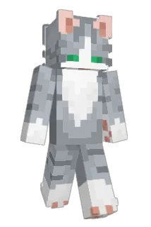 Catiniata Minecraft avatar full body