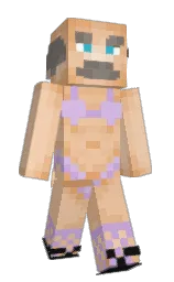 Custom render preview