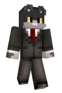 CatzNG Minecraft avatar full body