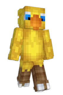 Catzenbus Minecraft avatar full body