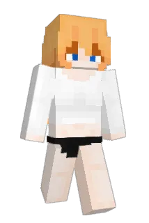 CcNaer Minecraft avatar full body