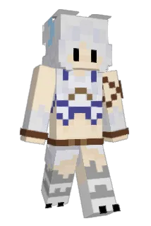 Celiac301 Minecraft avatar full body