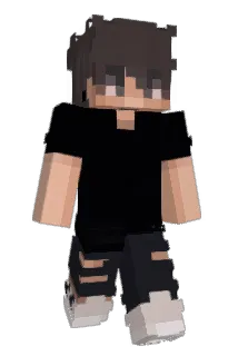 Cell_221 Minecraft avatar full body